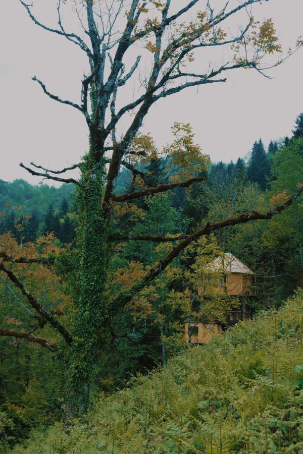 Hill Inn Keda Экстерьер фото